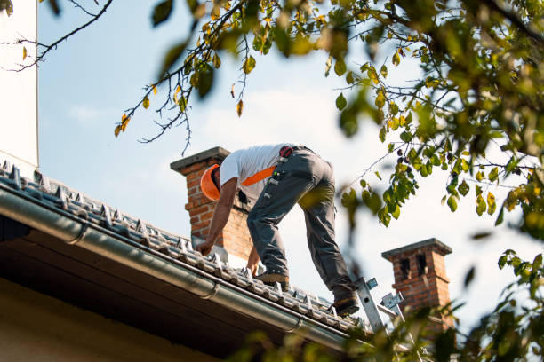 Best Roof Maintenance Services  in Montpelier, OH